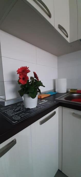 Gold Key Apartments, Durres Beach Eksteriør bilde